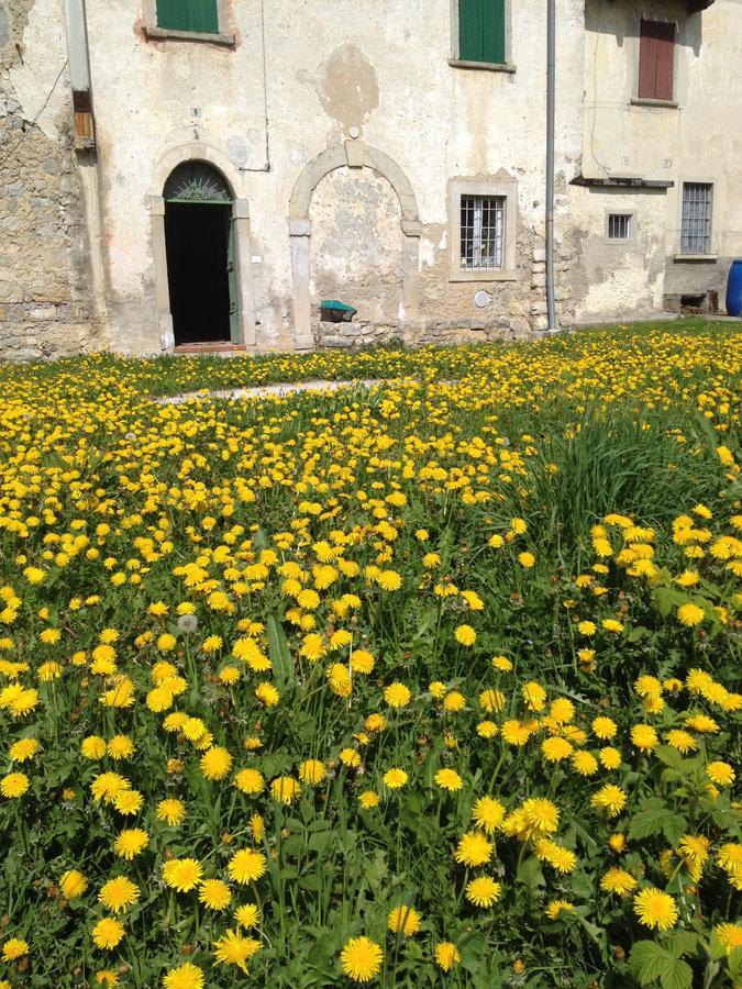 Costa di Serina B&B Come Un Tempo المظهر الخارجي الصورة